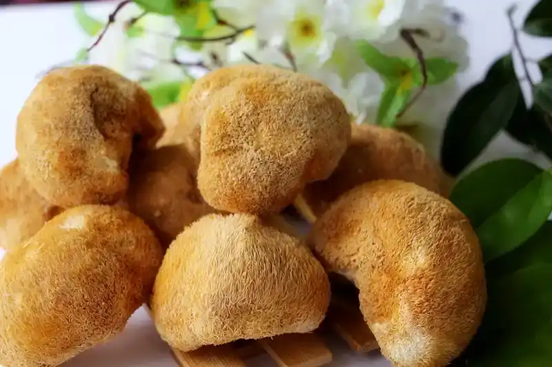 Strengthen Immunity with Organic Hericium Erinaceus Powder